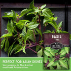 Survival Garden Seeds - Thai Basil Seed for Planting - 5 Packets with Instructions to Plant and Grow Asian Basil Indoors or Outdoors in Your Home Vegetable Garden - Non-GMO Heirloom Variety