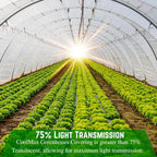 Farm Plastic Supply - Clear Coolmax Greenhouse Plastic Sheeting - 6 Mil - 4 Year UV Resistant Infrared Anti-Condensate Green House Covering Thermal Greenhouse Plastic 6 mil (20' x 20')