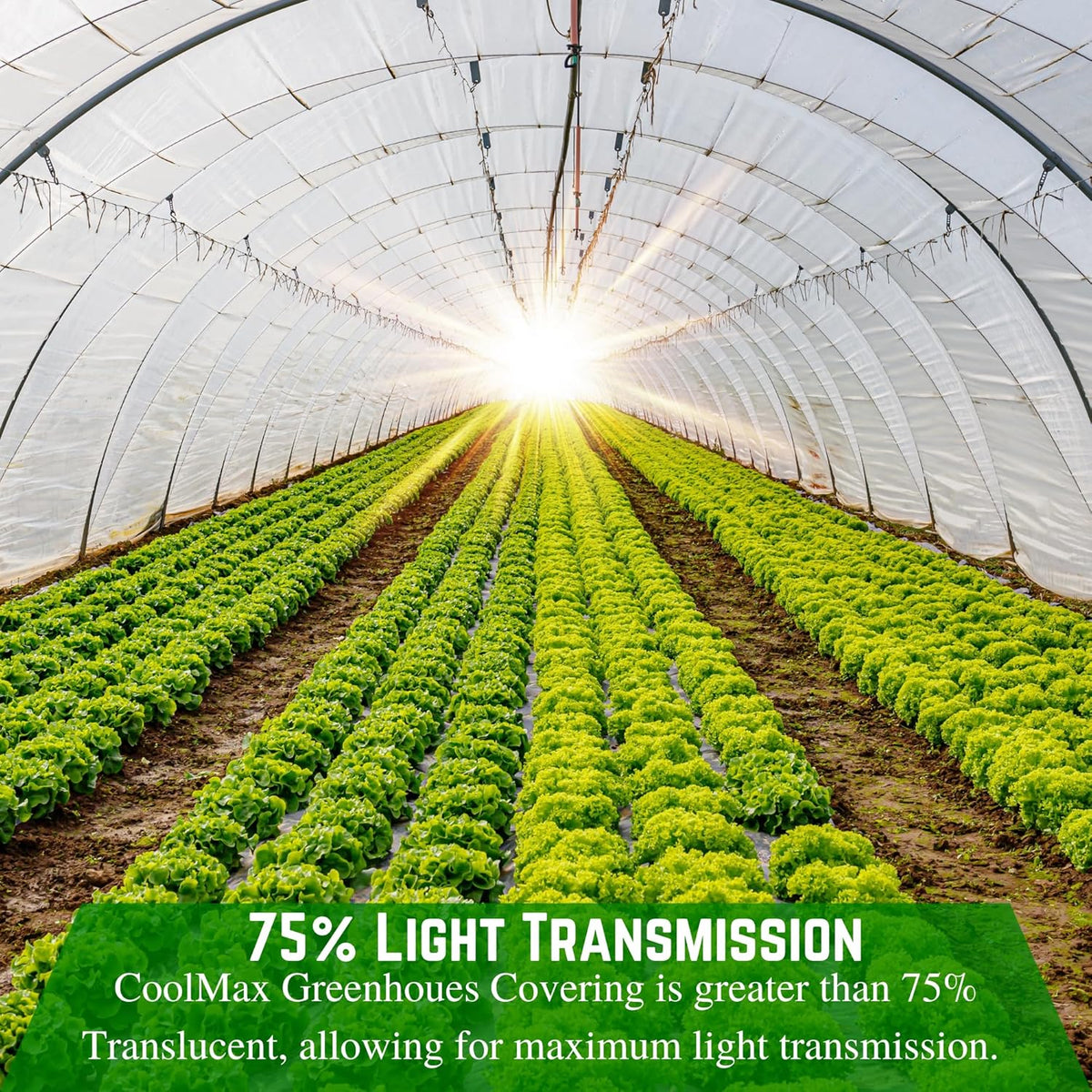 Farm Plastic Supply - Clear Coolmax Greenhouse Plastic Sheeting - 6 Mil - 4 Year UV Resistant Infrared Anti-Condensate Green House Covering Thermal Greenhouse Plastic 6 mil (20' x 20')