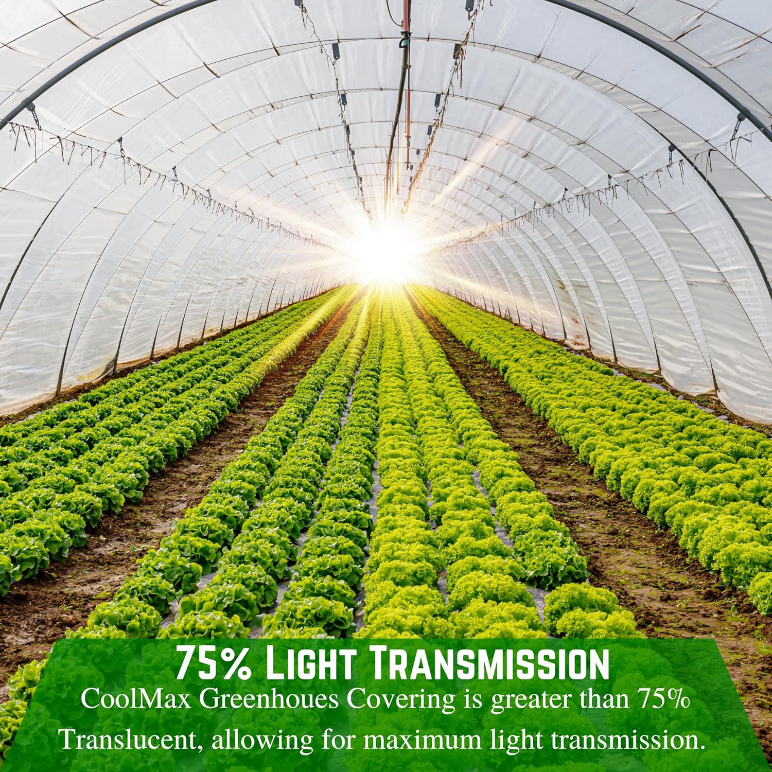 Farm Plastic Supply - Clear Coolmax Greenhouse Plastic Sheeting - 6 Mil - 4 Year UV Resistant Infrared Anti-Condensate Green House Covering Thermal Greenhouse Plastic 6 mil (40' x 60')