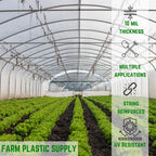 Farm Plastic Supply - String Reinforced 4 Year UV Resistant 10 mil Clear Greenhouse Plastic Sheeting - 4 Year UV Resistant Polyethylene Greenhouse Film, Hoop House Green House Cover (42' x 75')