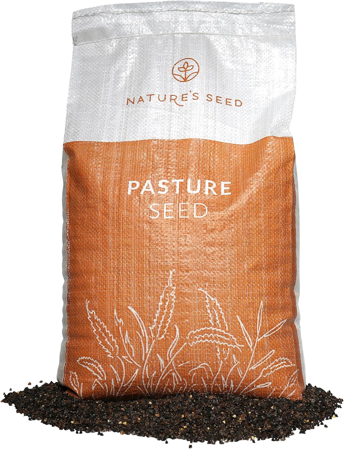 Nature’s Seed Common Buckwheat Seeds for Planting, Wildlife Food Plot, Cover Crop, Green Manure, Pasture, 5 Lbs