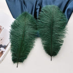 Ballinger Blackish Green Ostrich Feathers Bulk- 24pcs 12-14inch Big Feathers for Wedding Party Centerpieces Christmas Decor