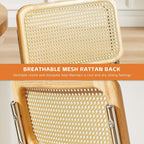 Rattan Back Velvet Dining Chair Set of 6 Modern Stainless Chrome Base Armless Upholstered Side Chair for Dining Room, Kitchen Island, Olive Green