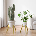Adjustable Plant Stands Set of 2, Metal Modern Small Plant Holder, Heavy Duty Stable Flower Holder Stand Rack for 10-16 Inch Indoor Outdoor Corner Living Room Balcony Office Golden PS-007GY-2