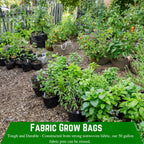 Farm Plastic Supply - 20 Gallon Fabric Grow Bags - (10 Pack) - Nonwoven Fabric Pots with Handles, Grow Bag, Plant Grow Bags, Garden Bag, for Farming, Gardening, Agriculture