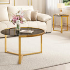 31.5" Gold Round Nesting Coffee Table Set of 2, Modern Tempered Glass Cocktail Tables with Sturdy Metal Frame, Glam Accent Side Tables for Living Room, Black