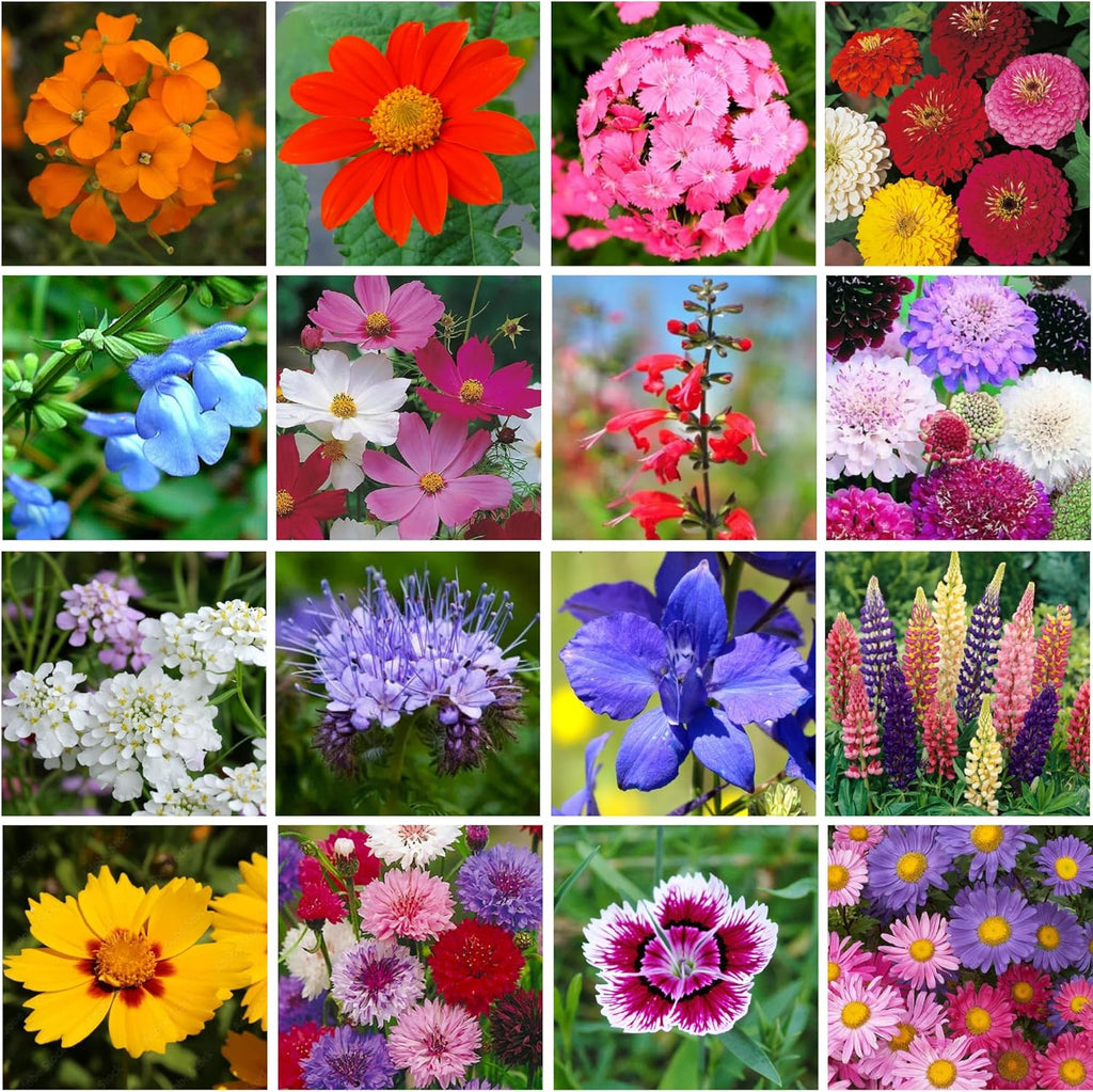 Bulk Wildflower Seed - Bird & Butterfly Garden Seed Mix | Bulk 300,000+ Annual & Perennial Flower Seeds for Planting - Attracts Hummingbirds & Butterfly | No Messy Bags or Packets | Bulk 1 Pound Jar