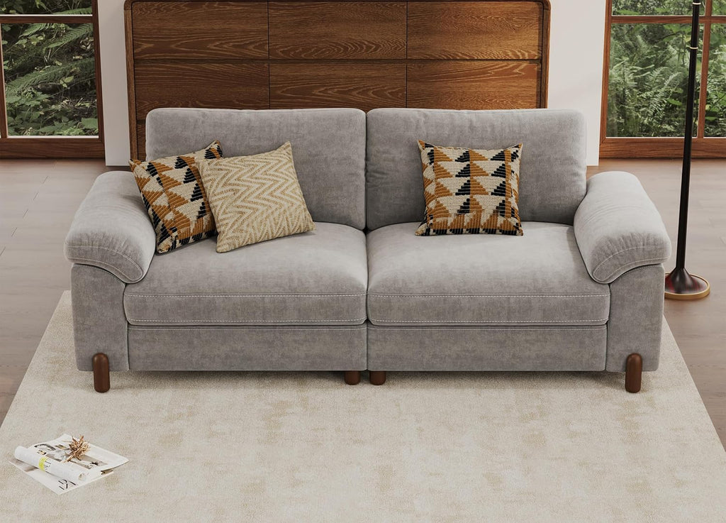 SITJOY Cloud Couch Sectional, 2 Seater Loveseat Chenille in Light Gray | Detachable and Washable Cover, Sectional Sofas for Living Room, Deep Seat Wide Couch