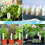 Plant Labels 4 Inch 400Pcs Plastic Plant Name Tags for Seedlings Garden Labels Markers Nursery Plant Tags Seed Labels Stakes with Permanet Marking Pen Plant Markers for Outdoor Garden (White400)