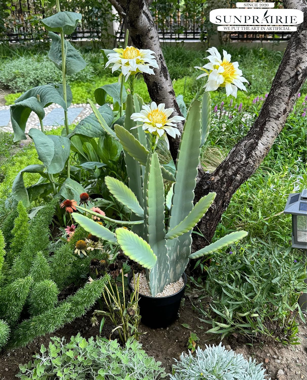 33 Inch Large Artificial Cactus with Lilly White Flowers in Pot with Natural Gravel. Satin Finish Leaves with Real Look and Feel. Outdoor and Indoor Faux Plants.