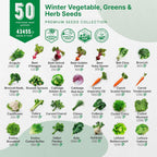 50 Winter Vegetable Garden Seeds Variety Pack - 43,450+ Non-GMO Heirloom Seeds for Outdoors & Indoor Home Gardening, Including Kohlrabi, Lettuce, Radish, Onion, Choy, Spinach, Cauliflower, Collards