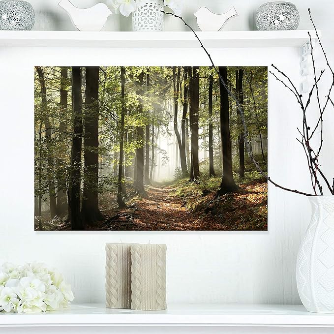 Designart Oversized Canvas Wall Art Décor - Green Fall Forest with Sun Rays - Forest Nature Wall Art Decor Sunshine Through Forest and Road Canvas Pictures - 20" x 12"