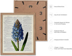 Poster Master Dictionary Art Poster - Blue Hyacinth Print - Flower Art - Floral Art - Gift for Men, Women & Florist - Minimal Decor for Bedroom, Office, Dorm or Flower Shop, 16x20 Beige Framed
