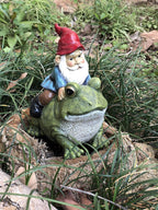 Garden Gnome Riding on Frog, Outdoor Garden Gnomes, Lawn Gnome Statue Sculpture