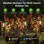 XMCOSY+ Solar Lights Outdoor Waterproof IP65, 25 LM Garden Light for Yard Pathway, Dual-Tone LED Lights with Seed Glass Metal, Solar Powered Landscape Walkway Pathway Decor Lighting (Warm White)