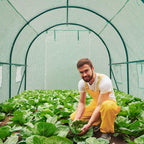 12×7×7 FT Greenhouses for Outdoors Heavy Duty, Large Walk in Green Houses for Outside with 6 Ventilated Mesh Windows & Roll-up Door & Reinforced Frame