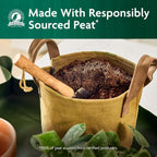 Miracle-Gro Organic Indoor Potting Mix, Protects Against Over and Under Watering, for Indoor Container Plants, Houseplants and Starter Plants, OMRI Listed, 8 qt., 2-Pack