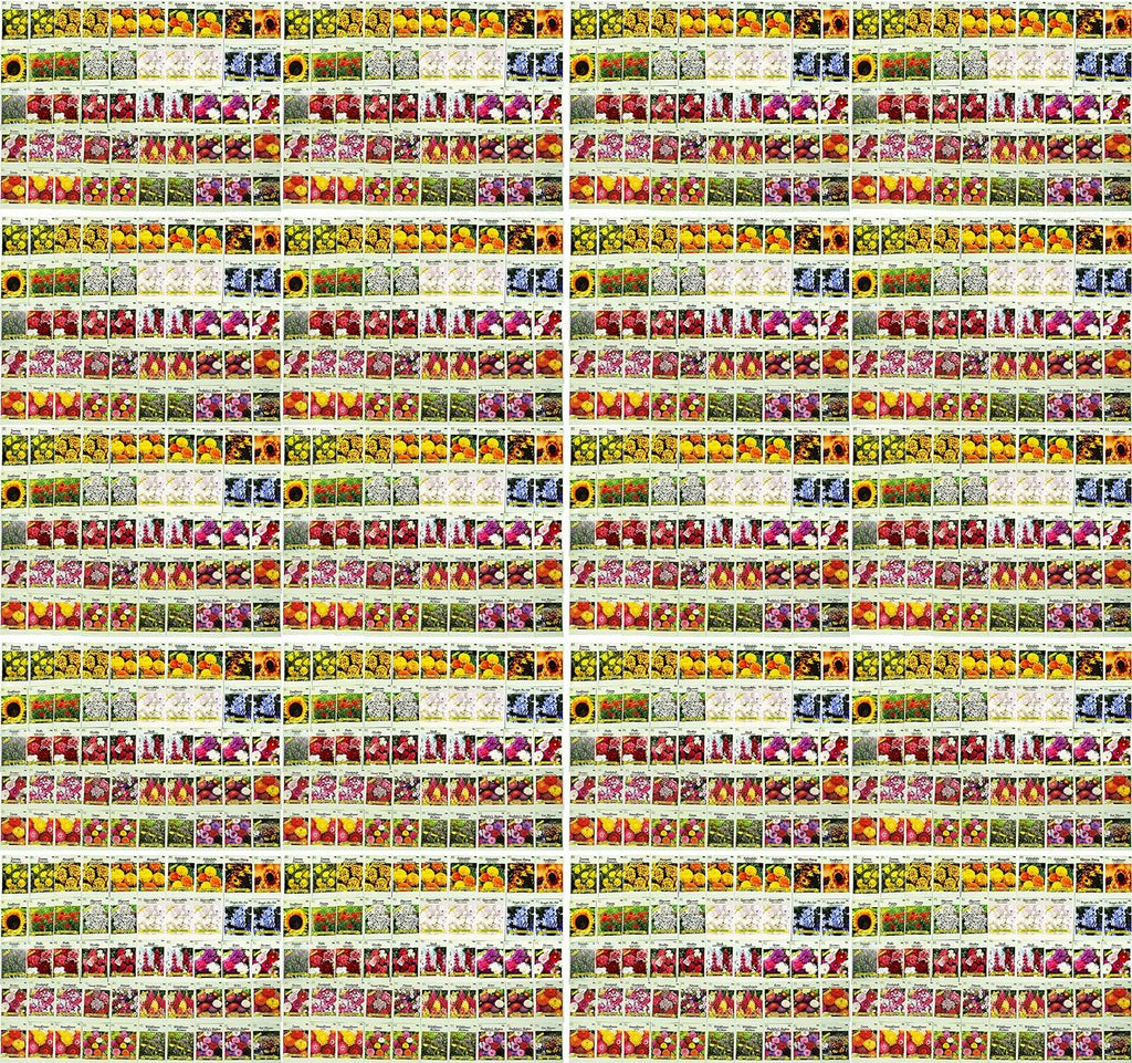 Set of 1000 Flower Seed Packets - Flower Seeds in Bulk - 15 or More Varieties Available - Great for Creating Colorful Gardens (1000)