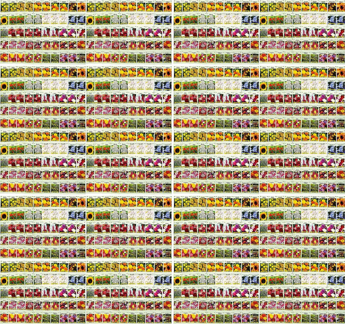 Set of 1000 Flower Seed Packets - Flower Seeds in Bulk - 15 or More Varieties Available - Great for Creating Colorful Gardens (1000)