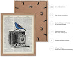 Poster Master Dictionary Art Poster - Antique Camera Print - Bird Art - Photography Art - Gift for Men, Women & Photographer - Chic Decor for Living Room, Bedroom or Office, 11x14 Beige Framed