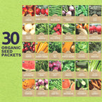 Organic Seeds Gardener Variety Pack - 30 Individual Packs - 2025 Season - Arugula, Basil, Winter Squash, Nantes Carrots and More! for Indoor & Outdoor Planting (Non-GMO, Certified Organic)