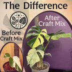 Craft Aroid Potting Mix- Elite Organic Alocasia, Philodendron, Monstera Soil Mix, Chunky, Well Draining Potting Soil for Indoor Plants, All Tropical Plants & Houseplants, Sustainable & Peat Free 4QT
