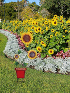 hogardeck Garden Decor for Outside, 39" Sunflower Pot Decorative Garden Stakes for Spring Outdoor Decor, Metal Yard Art Sunflower Welcome Sign for Porch Patio Lawn Pathway Backyard Decorations
