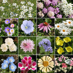Ferry-Morse Pastel Color Mix Bulk Flower Seeds, 1lb