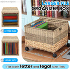 Cinnvoice Decorative Rolling File Cabinet 18 x 16 x 13 in Seagrass Wicker File Box Organizer for Letter & Legal Size Handwoven Hanging Filing Basket with Lid for Folder Home Office Decor Tricolor