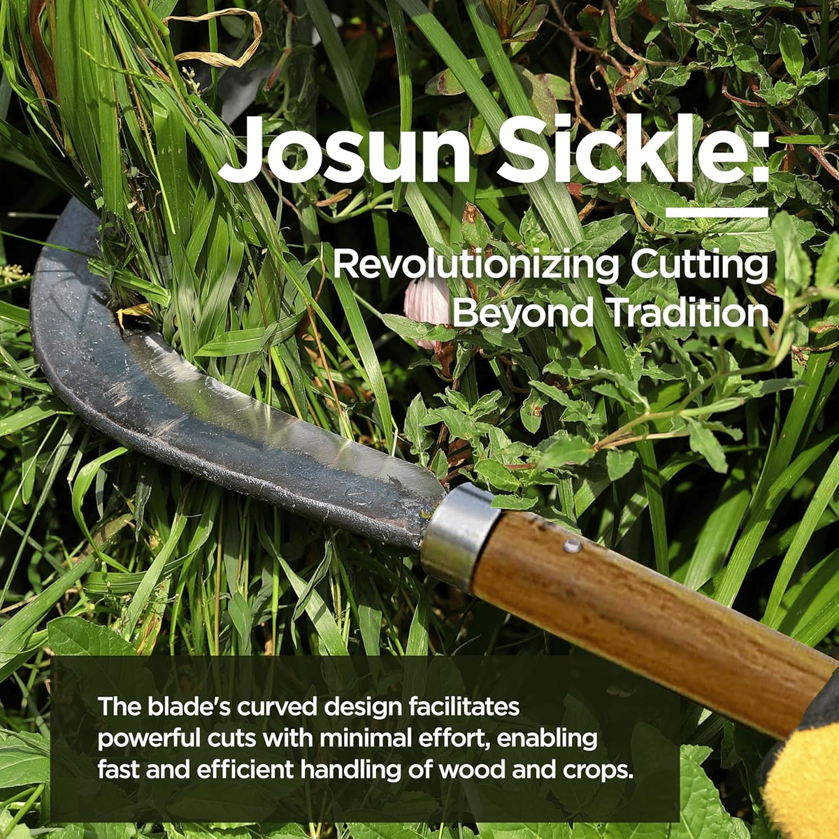 Josun Sickle - Hand-Forged Handmade Korean Weeding and Brush Clearing Tool with Razor-Sharp Blade and Chestnut Wood Handle