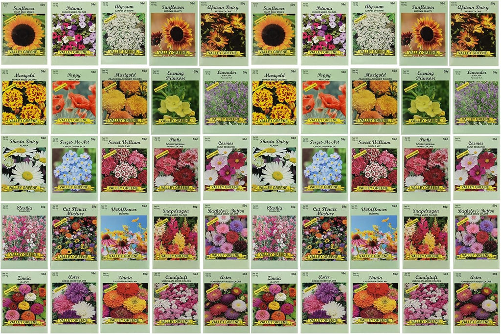 50 Slightly Assorted Flower Seeds! – Great for Bees, Birds, and Butterflies! – Includes 10+ Varieties of USA Grown & Non-GMO Seeds! – May Include Forget-Me-Nots, Marigolds, Wildflowers, and More