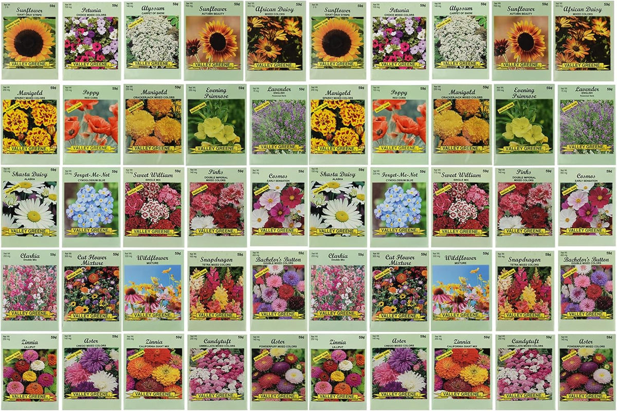 50 Slightly Assorted Flower Seeds! – Great for Bees, Birds, and Butterflies! – Includes 10+ Varieties of USA Grown & Non-GMO Seeds! – May Include Forget-Me-Nots, Marigolds, Wildflowers, and More