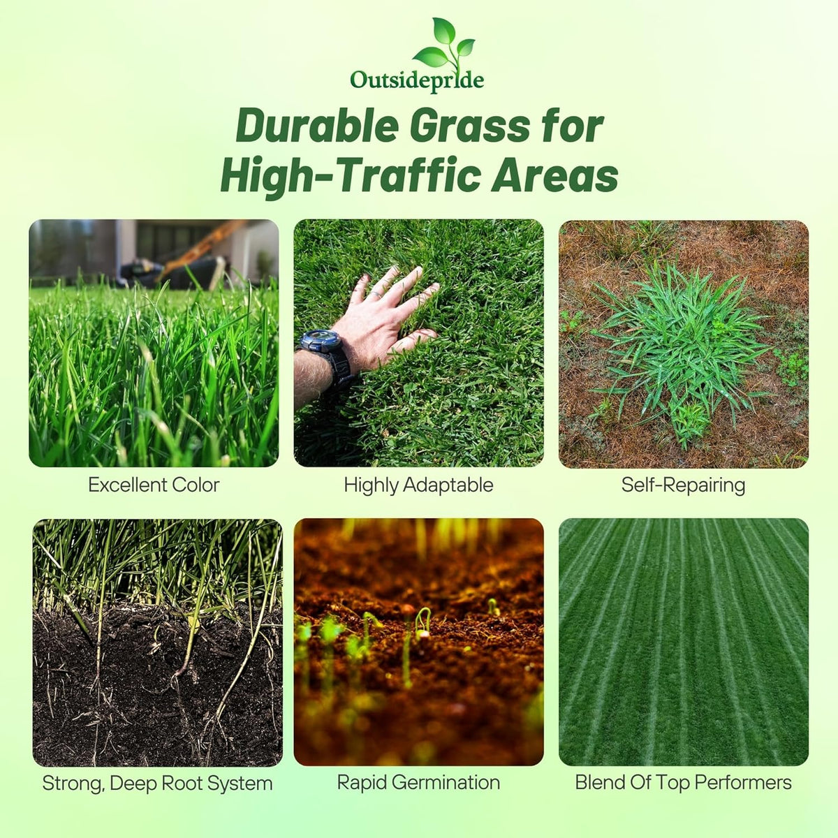 Outsidepride Combat Extreme Transition Zone Grass Seed Blend for Lawn 25 lbs - Fine, Medium Leaf Blades & Dense Turf for Sun, Shady & High Traffic Areas w/OptiGrowth Coating for Seed Enhancement
