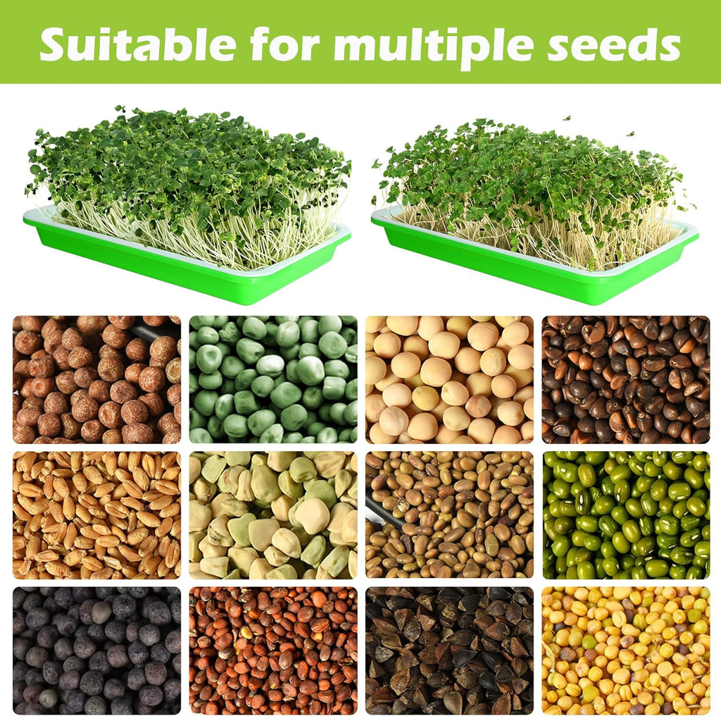 EBaokuup 5 Pcs Seed Sprouter Tray with Drain Holes - BPA Free Seed Germination Propagation Trays, Soil-Free Wheatgrass Bean Sprouts Microgreens Growing Kit with Germinating Paper