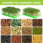 EBaokuup 5 Pcs Seed Sprouter Tray with Drain Holes - BPA Free Seed Germination Propagation Trays, Soil-Free Wheatgrass Bean Sprouts Microgreens Growing Kit with Germinating Paper