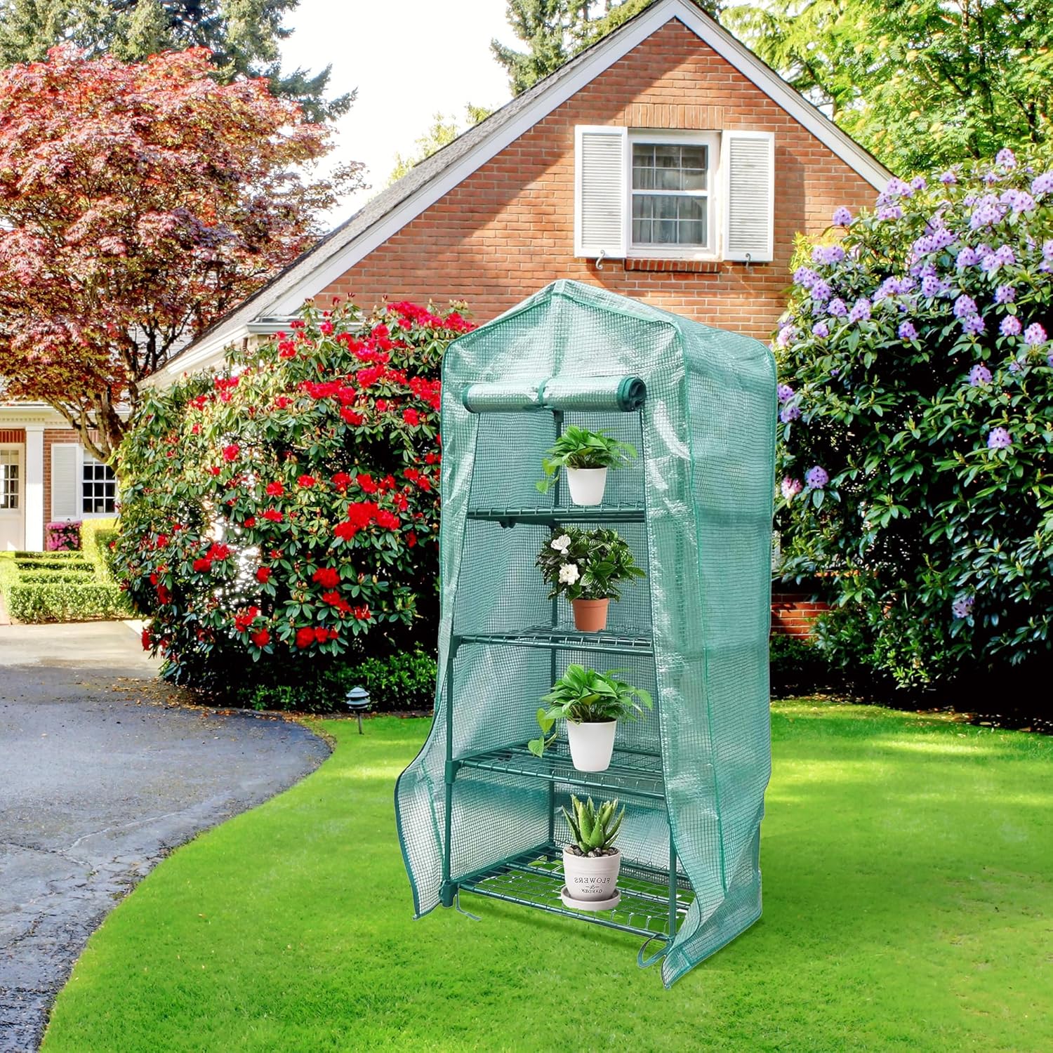 Sfcddtlg 4 Tier Greenhouse Replacement Cover, 63" x 27.2" x 19.3" PE Plant Greenhouse Cover with Roll-Up Zipper Door for Indoor Outdoor Gardening Plants Cold Frost Wind Rain Proof (Frame NOT Included)