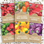 Organic Sweet Pepper Seeds Variety Pack - 6 Individual Packs - 2025 Season - Red, Orange, Yellow, Green and More! for Indoor & Outdoor Planting (Non-GMO, Certified Organic)