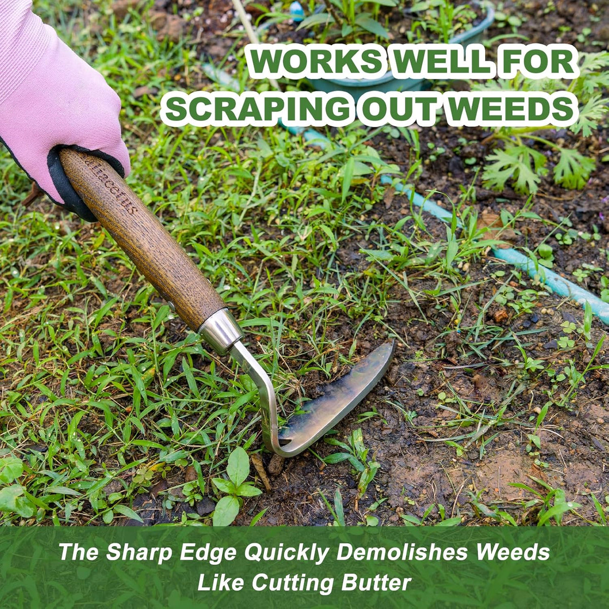 Haliaeetus Gardening Sickle Hoe, Japanese Bent Angle Weeding Sickle, Stainless Steel Weed Hoe Scraper, 13'' Gardening Hand Hoe with Ergonomic Wood Handle for Weeding, Loosening Soil and Cultivating