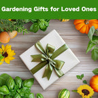 Lush&Dew Pet-Friendly Heirloom Seed Bank, Gardening Gifts for Women Men, 16 Varieties 15,000+ Non-GMO Seeds for Planting Herbs Flowers Vegetables in Raised Bed Windowsill, Annuals & Perennials