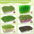 Stainless Steel Sprouts Growing Kit 3-Tier 12.4 inch Trays, Microgreens Growing Kit, Seed Sprouting Tray with Encrypted Mesh Sprouts for Beans Alfalfa Broccoli Wheat Grass