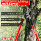 TABOR TOOLS GG12A Anvil Lopper with Compound Action, 30 Inch Tree Trimmer, Thick Branch Cutter with ⌀ 2 Inch Cutting Capacity, Chops Thick Branches with Ease.