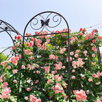 4 Pack Metal Garden Trellis 86.7" Tall Outdoor Climbing Plant Support for Roses, Flowers, Rustproof Durable Black Galvanized Tube, Lawn Garden Fence Decor Screen (4pcs, 86.7" H)