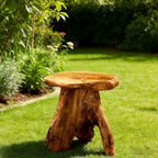 Greenage Cedar Roots Mushroom Accent Stool 12" x 15" x 13.5" Height Natural Wood Side Table Home Décor Rustic Plant Stand Accent Tree Stump Stool End Table for Living Room Live Edge Table