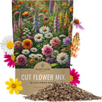 Cut Flower Garden Seeds - Bulk 1/4 Pound Bag - Over 30,000 Fresh Open Pollinated Non-GMO Wildflower Seeds - Long Lasting Annuals and Perennials with Bright Colors