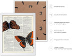 Poster Master Dictionary Art Poster - Butterflies Print - Moth Art - Butterfly Art - Insect Art - Gift for Men, Women & Animal Lover - Chic Decor for Living Room or Bedroom, 11x14 White Framed