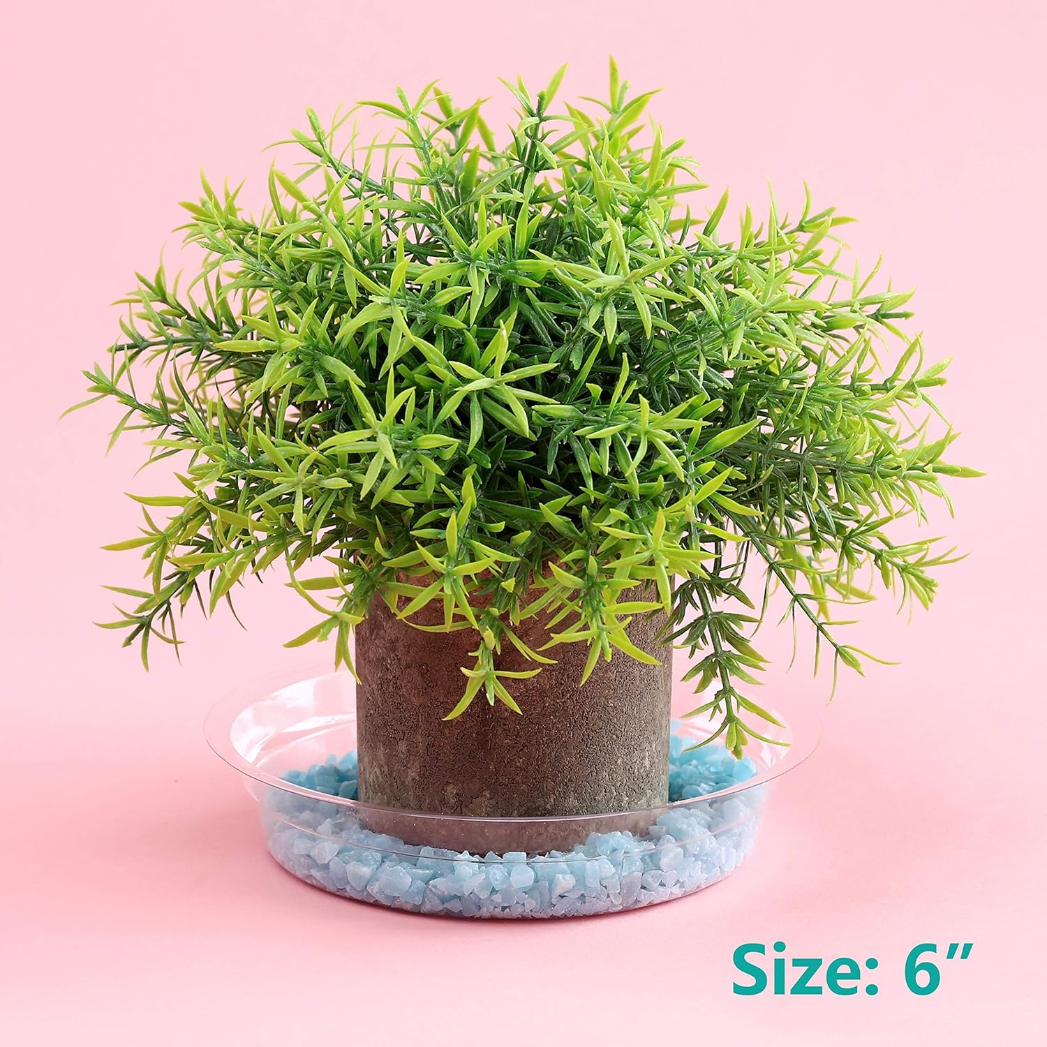 20 Pack 6 Inch Plant Saucers Clear Plastic Plant Saucer Drip Trays Small Plant Plate Dish for Indoor Flower Pots and Planters, Bulk