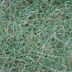 American Excelsior QuickGrass Pro - 4'x50' - Green Erosion Control Blanket Landscape Roll
