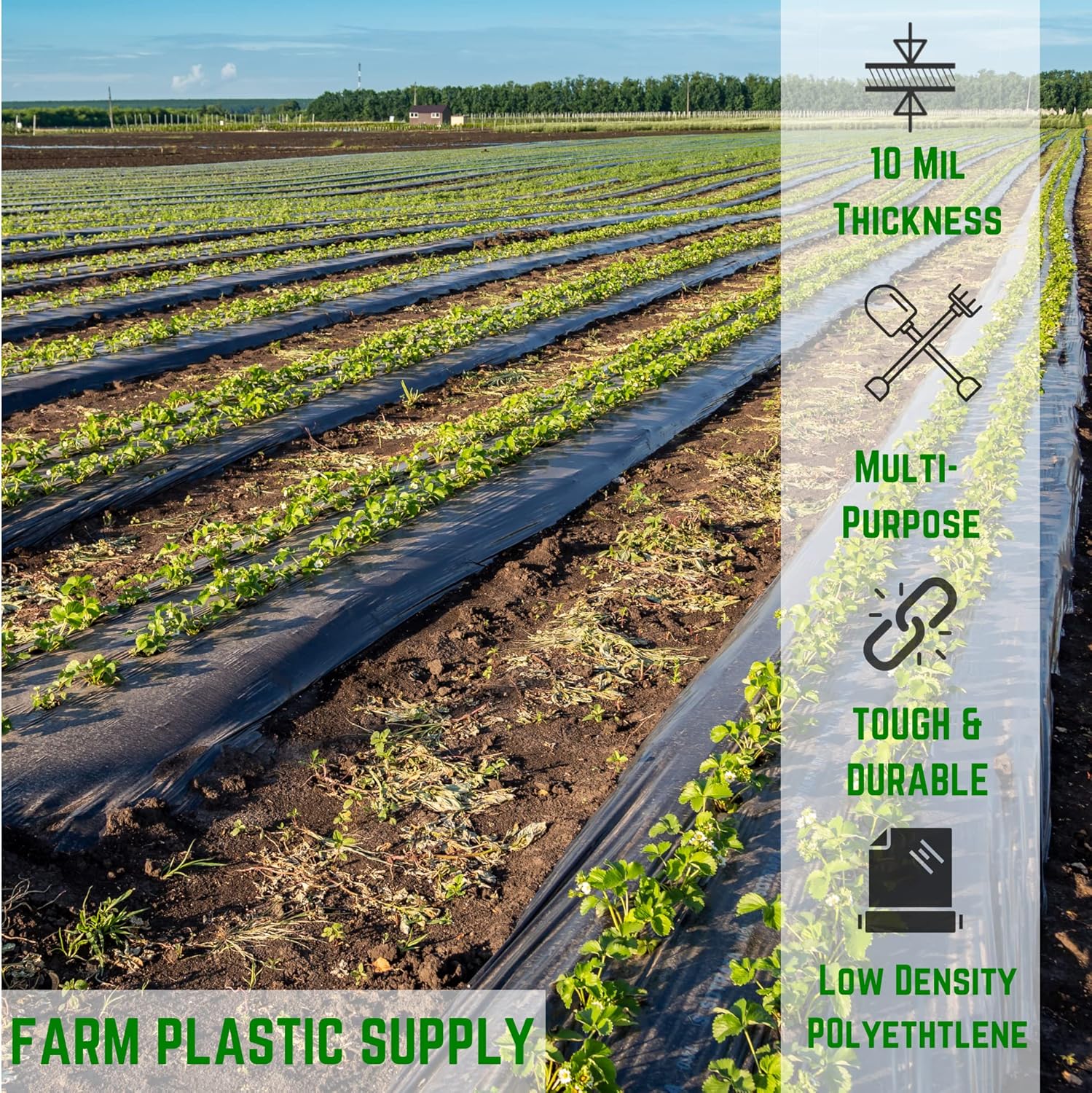 Farm Plastic Supply - Black Plastic Sheeting - 10 mil - (10' x 100') - Black Plastic Tarp, Polyethylene Vapor Barrier Plastic Sheeting, Painters Tarp, Roll of Heavy Duty Plastic