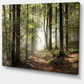 Designart Oversized Canvas Wall Art Décor - Green Fall Forest with Sun Rays - Forest Nature Wall Art Decor Sunshine Through Forest and Road Canvas Pictures - 20" x 12"